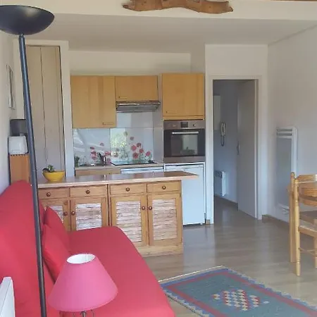 Spacious Duplex With Mont Blanc View Appartement